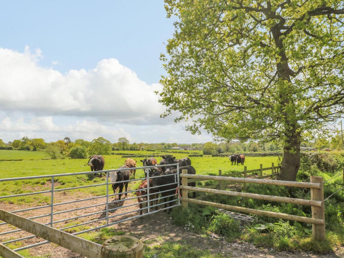Acorn Lodge Stafford Luaran gambar