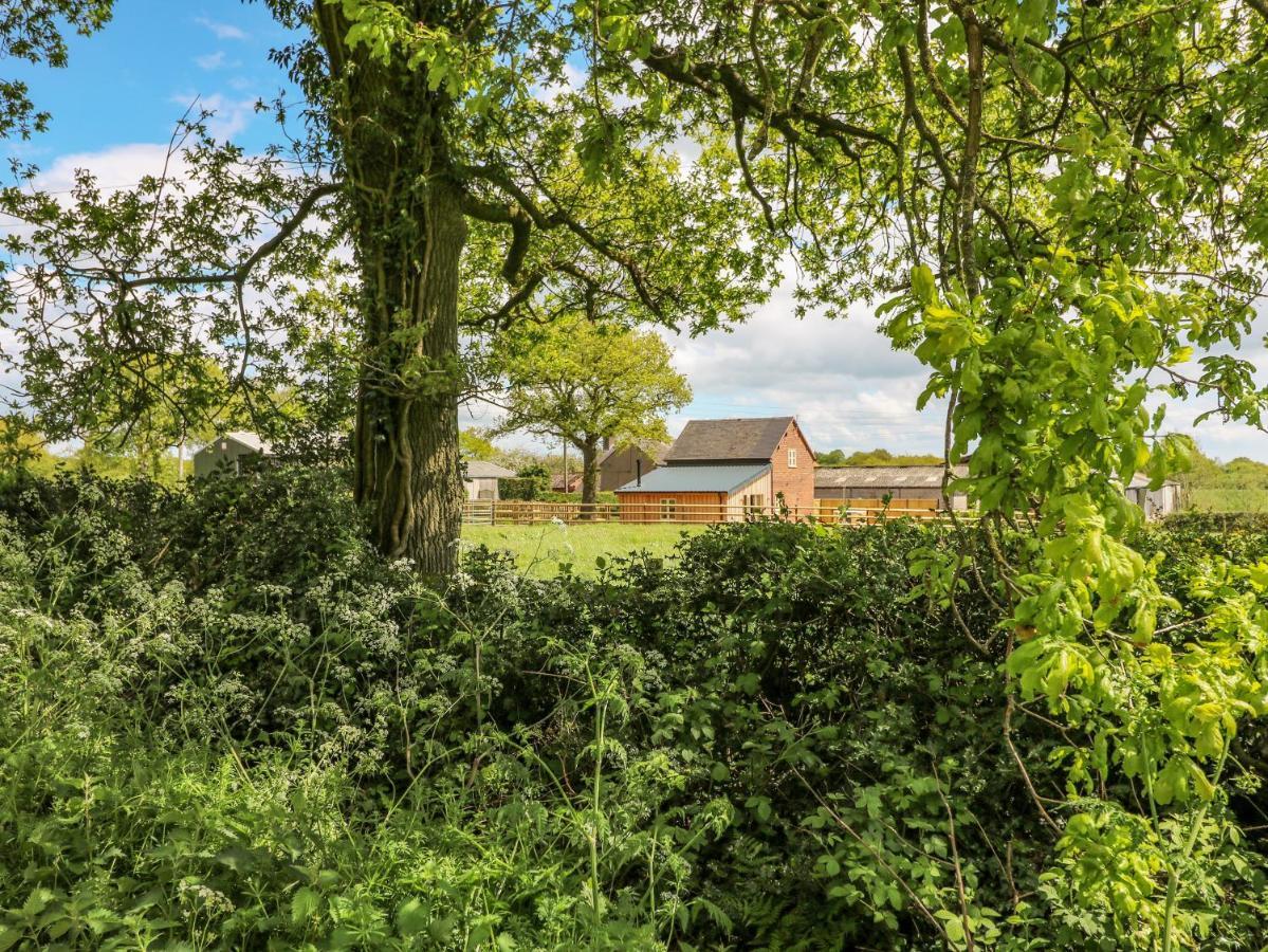 Acorn Lodge Stafford Luaran gambar