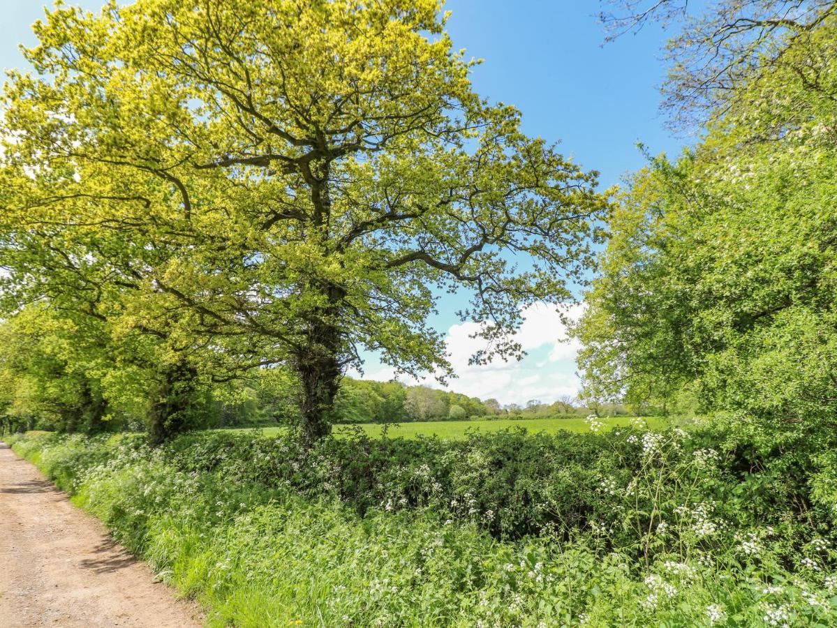 Acorn Lodge Stafford Luaran gambar